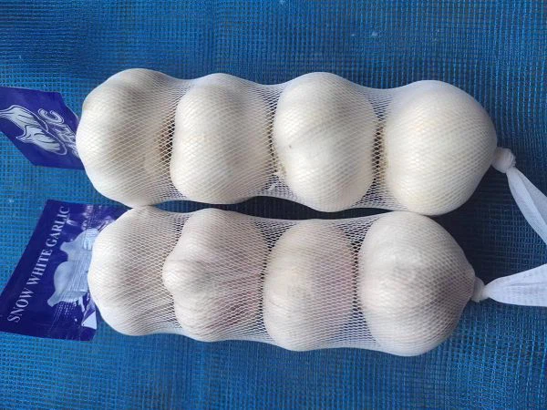 67a0e282-6110-4ccd-9e52-1c665f116c7c(001)