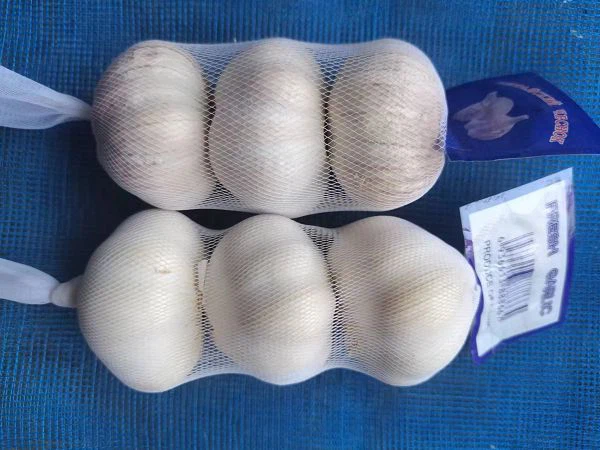 137e799b-e0c1-4f18-a317-7b90cd32f421(001)