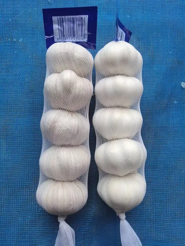 e9cf60c4-8d8d-4158-9954-393af011b613(001)