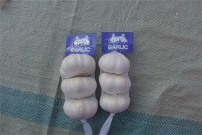 Usturoi crud proaspăt