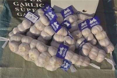 Usturoi sălbatic proaspăt