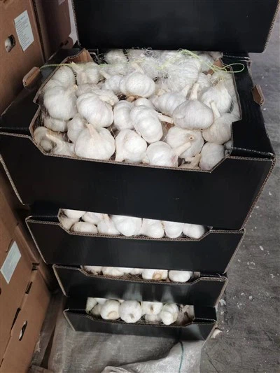 Usturoi ambalat de înaltă calitate