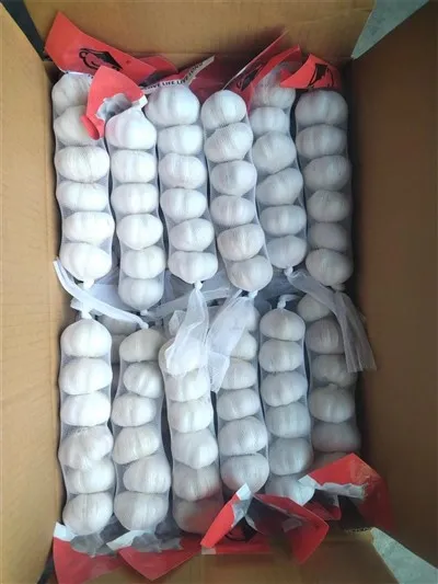 Pachet Mic De Usturoi